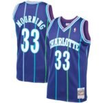 Alonzo Mourning Charlotte Hornets Mitchell & Ness 1994/95 Hardwood Classics Swingman Jersey - Purple