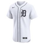 Andy Ibanez Detroit Tigers  Home Elite Player Jersey - White